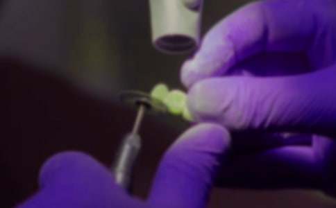 �μ�������Ѫ