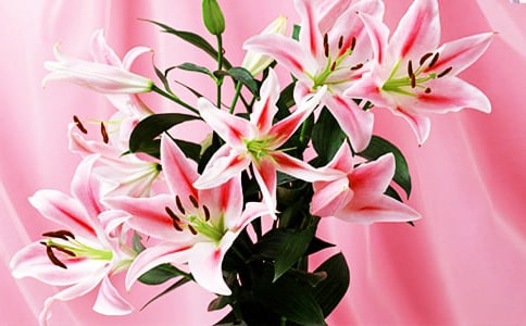 �μ��ٺϻ�[ͨ��]