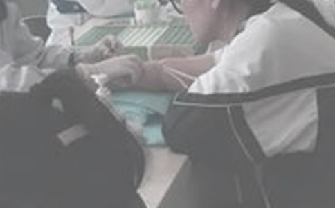 梦见抽血