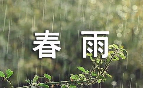 梦见春雨