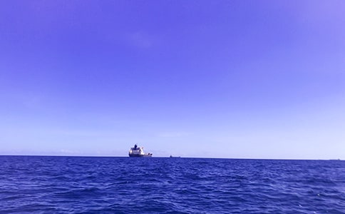 梦见大海里抓鱼