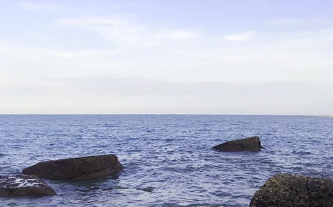 �μ���ɫ��