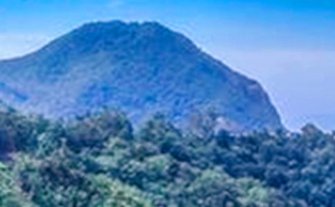 梦见大山