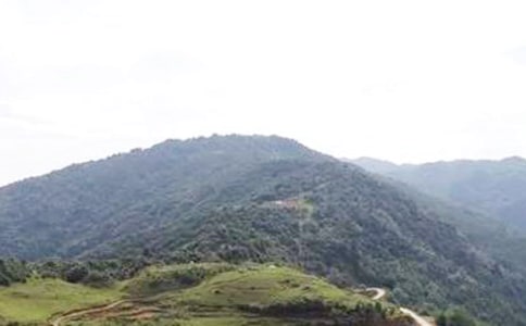 梦见爬大山