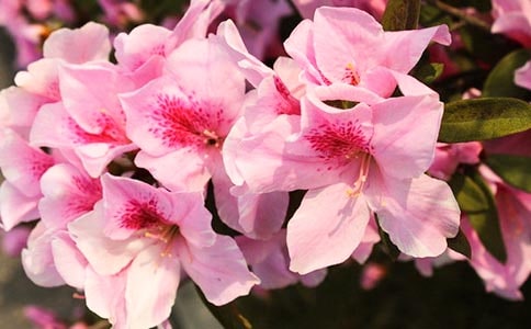 �μ��ž黨����