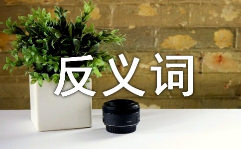 “好”的反义词是“坏”