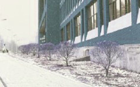 梦见风雪