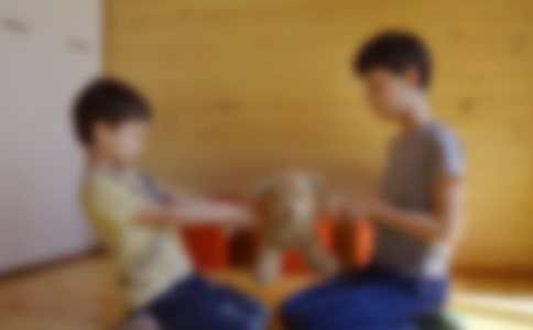 梦见哥哥回家