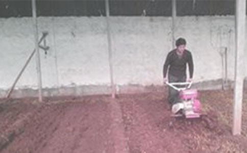 梦见种地耕田