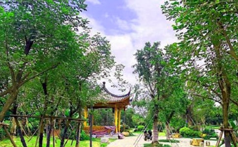 梦见公园(荐)