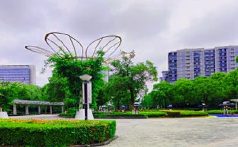 梦见公园着火