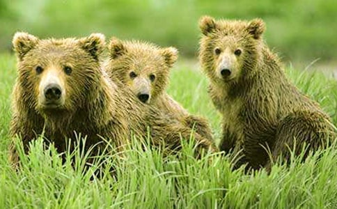 �μ�������ҧ����������ץס