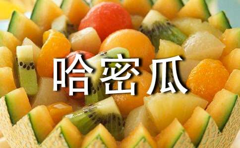 梦见好多哈密瓜
