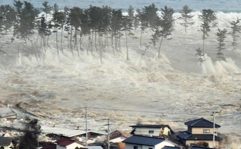 【热】梦见海啸发大水