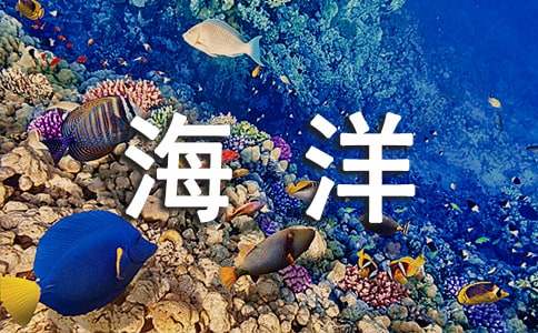 梦见海洋馆漏水