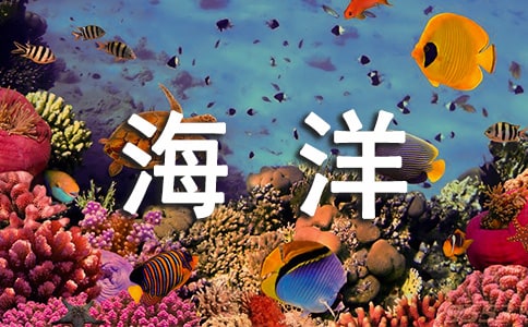 梦见海洋馆都是水