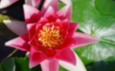 �μ��ɺɻ�