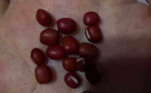 红豆薏米粥食谱
