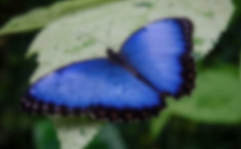 �μ����˳��ĺ���
