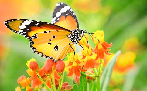 �μ���������[�Ƽ�]