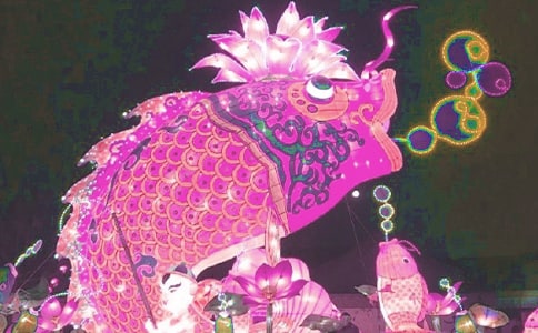 梦见莲花灯