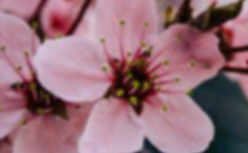 �μ���ɫ����[�ر�]