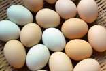 鸡蛋属于天然食品吗