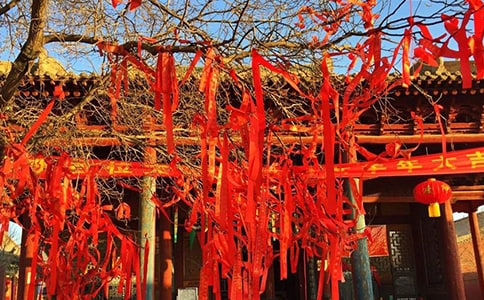 十种汤剂,祛除节日之腻
