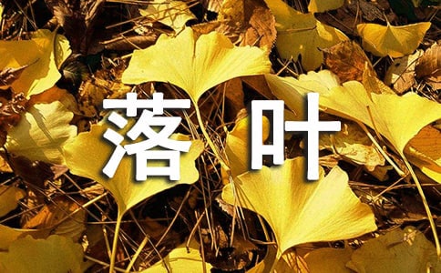 �μ��������Ҷ