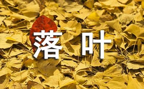 梦见落叶