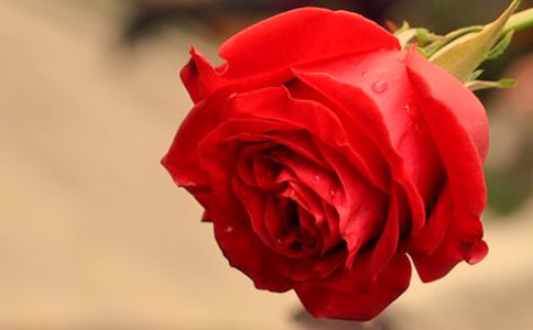 �μ���õ��