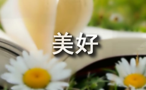 �����������滮����