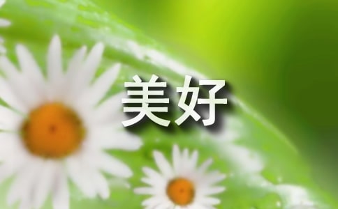 营造美好晨间氛围只需做好八件事