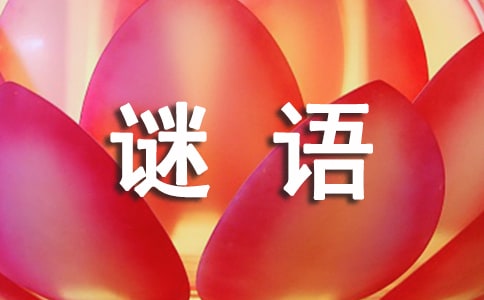 梦见猜谜语