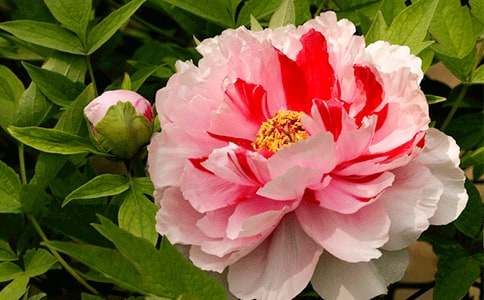 �μ����Ͽ��˺ö�ĵ����