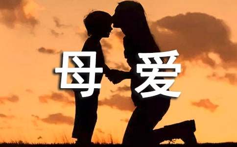 什么样的母爱才是真正的母爱