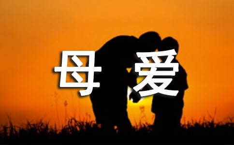 梦见母爱