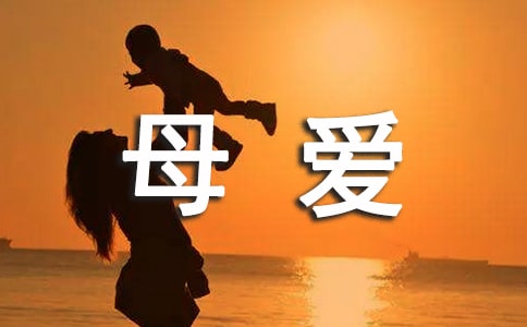 《婴语》书评:光有母爱是不行的