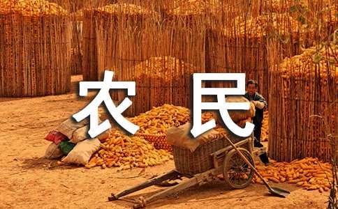 梦见农民