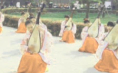 梦见琵琶
