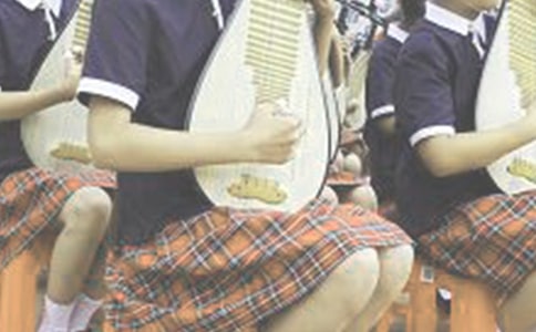 梦见琵琶琴