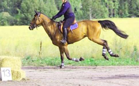 �μ�������·������