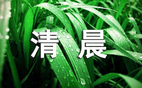 孕8周:每天清晨让明亮阳光叫醒我