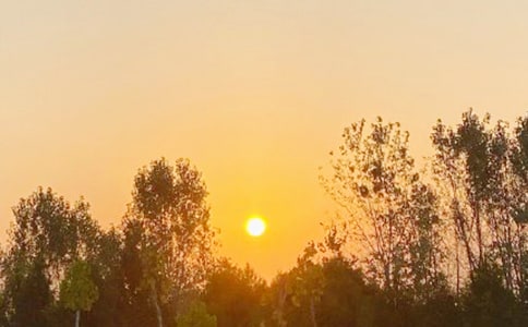 �μ����ճ�