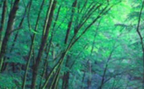 ʲô��ɭ��ԡ̥�̣�