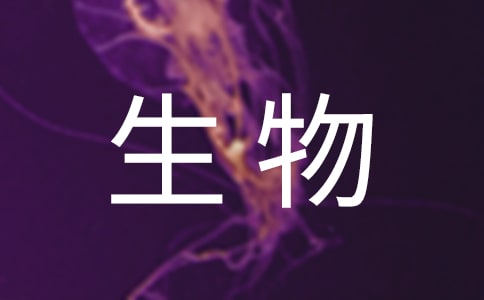 人的生物钟会影响受孕吗?