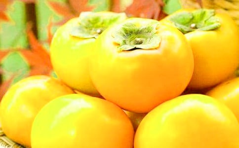 �μ����ӡ�������