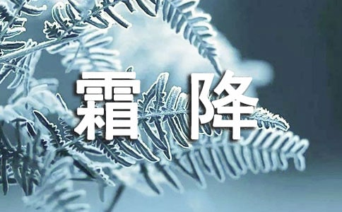 �μ�˪����ľ��ή[��Ʒ]