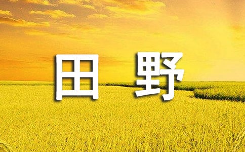梦见田野中行走