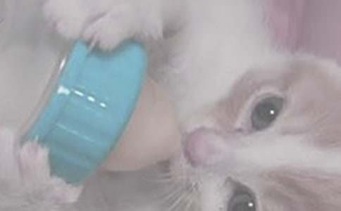 �̽ᷢ�տ���ι���� ��ʱ���Ⲹ��Ϊ��